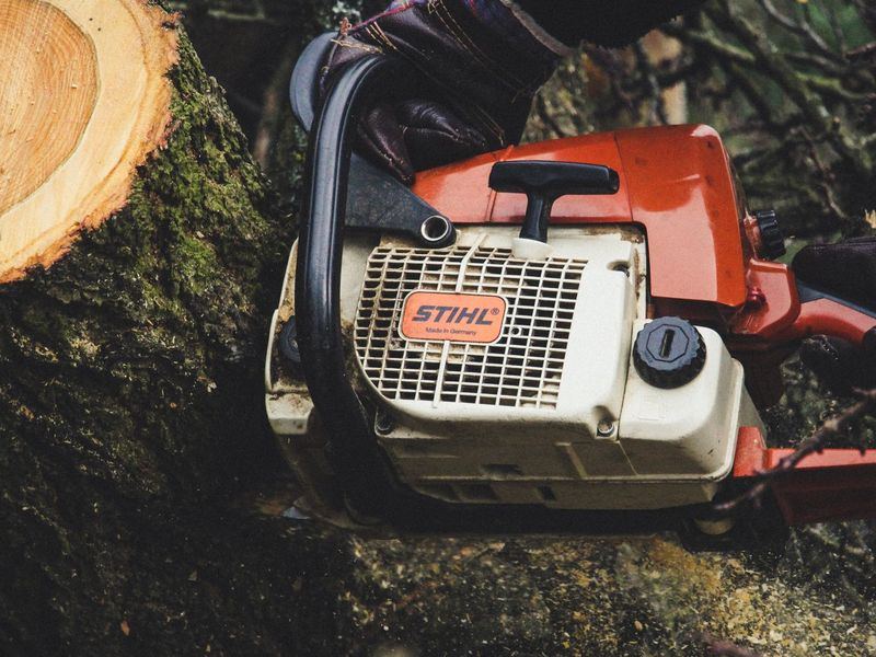 Tree removal job in the Forest Acres neighborhood of Columbia