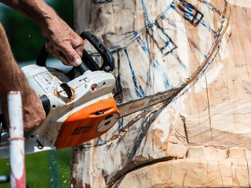 Tree removal job near Hopkins, SC